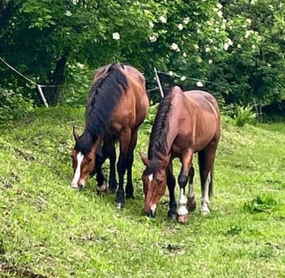 Nello & Enrica